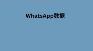 WhatsApp数据