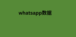 whatsapp数据 